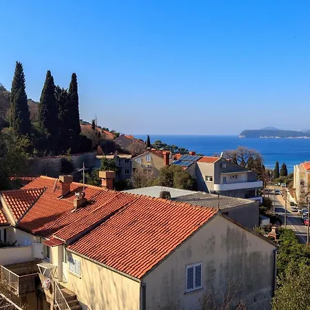 Διαμέρισμα Niki *